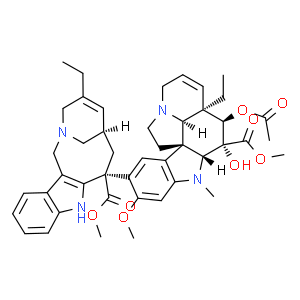 長(zhǎng)春瑞濱