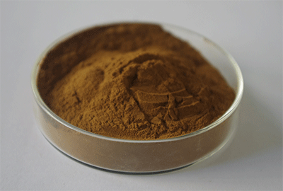 青錢(qián)柳葉粉|青錢(qián)柳葉提取物|青錢(qián)柳葉黃酮|OEM代加工